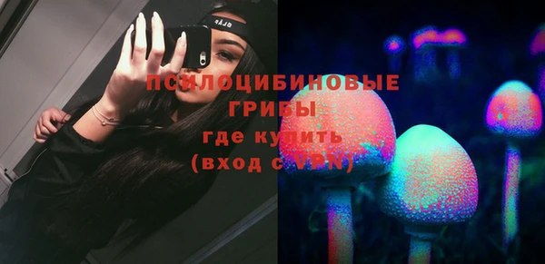 тгк Аркадак