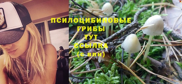 Альфа ПВП Арсеньев