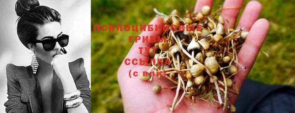 тгк Аркадак