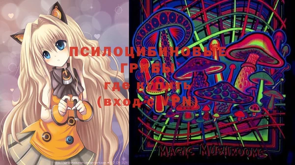тгк Аркадак