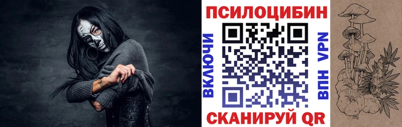 Псилоцибиновые грибы мицелий  закладка  Тимашёвск 